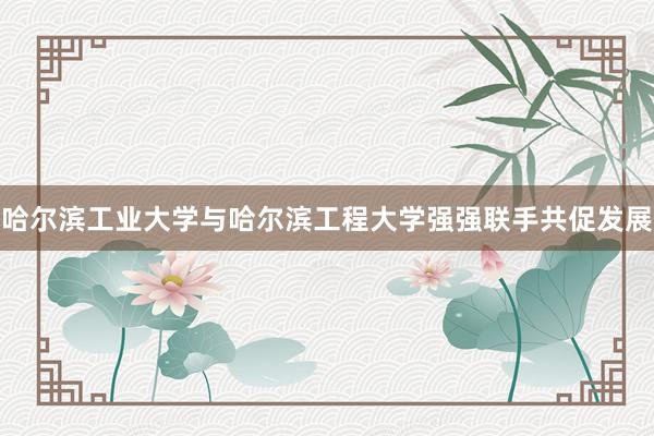 哈尔滨工业大学与哈尔滨工程大学强强联手共促发展